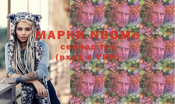 стаф Алзамай