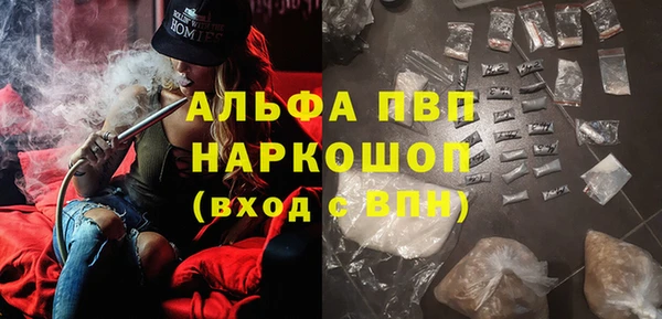 стаф Алзамай
