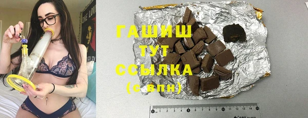 стаф Алзамай