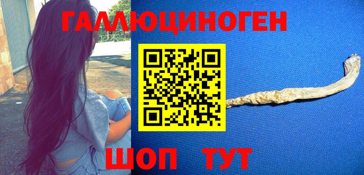 Галлюциногенные грибы GOLDEN TEACHER  Вход с VPN  Галлюциногенные грибы мухоморы  Клин 